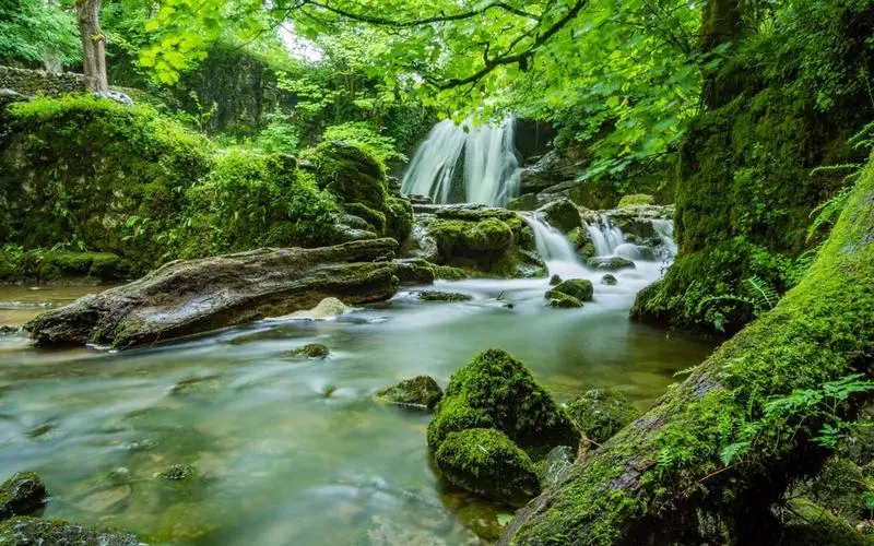 高标准智能智能